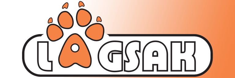 lagsak logo news 3